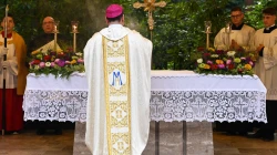 Bischof Bertram Meier am Hochaltar in Maria Vesperbild / Leander Stork / pba