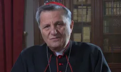 Kardinal Mario Grech / screenshot / YouTube / Vatican News - English