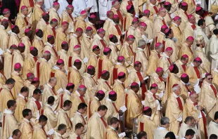 Afrikanische Synodenväter unter Brüdern aus allen Teilen der Weltkirche am vergangenen Sonntag / CNA/Martha Caldéron