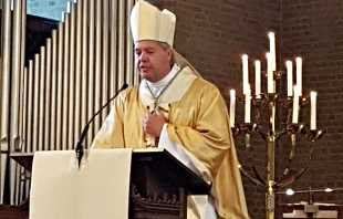 Weihbischof Robertus Mutsaerts / Danny Gerrits / Wikimedia (CC-BY-SA 4.0)