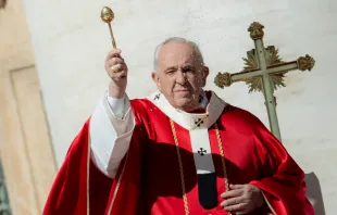 Papst Franziskus / CNA Deutsch / Daniel Ibanez