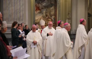 Die Deutschen Bischöfe am 17. November 2015 in der Lateranbasilika.  / CNA/Daniel Ibanez