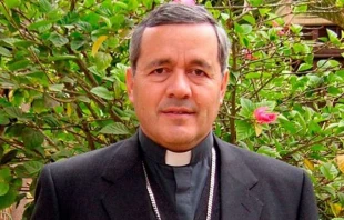 Bischof Juan Barros / Chilenische Bischofskonferenz