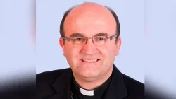 Bischof José Ignacio Munilla / Bischofskonferenz / ACI Prensa