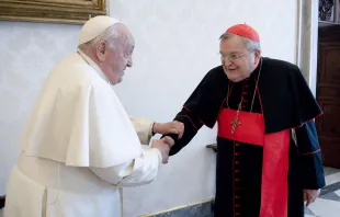 Papst Franziskus trifft sich mit Kardinal Raymond Burke am 29. Dezember 2023 im Vatikan. / Vatican Media