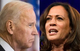 Wollen Präsident und Vizepräsidentin der USA werden: Joe Biden im Jahr 2016 (links) und Kamala Harris bei einem Auftritt im Jahr 2019. / Drop_of_Light/Shutterstock // Sheila Fitzgerald/Shutterstock 