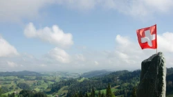 Schweizer Flagge / Nadine Marfurt / Unsplash