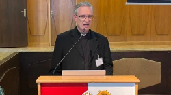 Pater Johannes Nebel FSO / Foto: Peter Düren