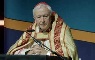 Kardinal Vincent Nichols / screenshot / YouTube / CYMFed