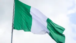 Nigerianische Flagge / jbdodane / Flickr (CC BY-NC 2.0)