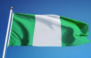 Flagge Nigerias /  railway fx/Shutterstock