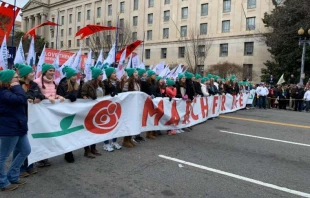 Schüler aus allen Teilen der USA nahmen am Marsch teil. / Peter Zelasko / CNA Deutsch