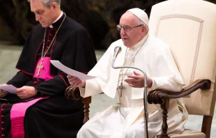 Papst Franziskus in der Audienzhalle Paul VI. im Vatikan. / Daniel Ibanez / CNA Deutsch 