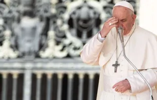 Papst Franziskus bei einer Generalaudienz / Daniel Ibáñez / ACI