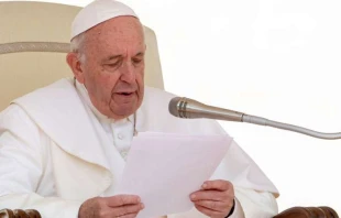 Papst Franziskus bei der Generalaudienz am 22. Mai 2019 / Daniel Ibanez / CNA Deutsch