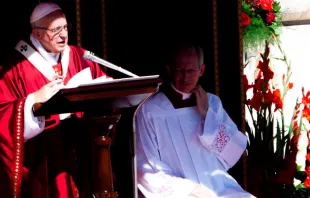 Papst Franziskus predigt auf dem Petersplatz am 29. Juni 2018 / CNA Deutsch / Daniel Ibanez