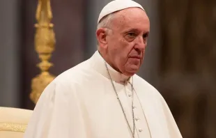 Papst Franziskus / CNA Deutsch / Daniel Ibanez