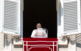 Papst Franziskus / Vatican Media