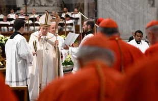 Papst Franziskus mit Kardinälen / Vatican Media