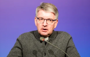 Bischof Peter Kohlgraf / Synodaler Weg / Maximilian von Lachner