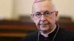 Erzbischof Stanisław Gądecki ist Präsident der polnischen Bischofskonferenz  / Episkopat.pl 