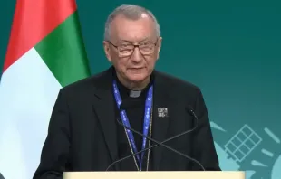 Kardinal Pietro Parolin / screenshot / YouTube / Vatican News