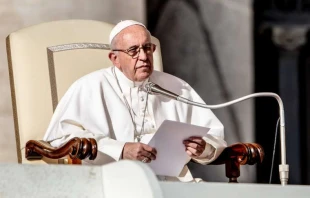 Papst Franziskus bei der Generalaudienz am 7. November 2018 / Daniel Ibanez / CNA Deutsch