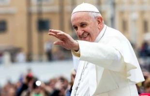 Papst Franziskus bei der Generalaudienz am 31. Oktober 2018 / Daniel Ibvanez / CNA Deutsch