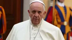 Papst Franziskus / CNA/Daniel Ibanez