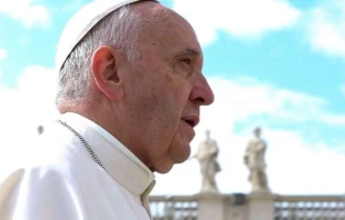 Papst Franzisus auf dem Petersplatz am 1. Juni 2016 / CNA / Daniel Ibanez