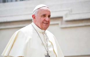 Papst Franziskus / CNA / Daniel Ibanez