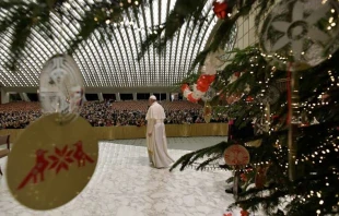 Papst Franziskus vor dem Christbaum in der Audienzhalle  / Vatican Media
