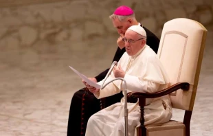 Papst Franziskus spricht zu Gläubigen und Zuhörern in der Audienzhalle am 8. August 2018. / Daniel Ibanez / CNA Deutsch