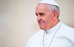 Papst Franziskus am 17. April 2013 / Mazur / catholicnews.org.uk