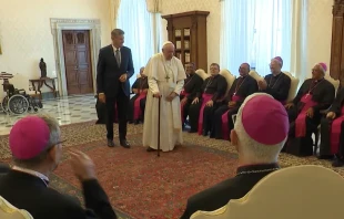 Papst Franziskus mit einer Delegation brasilianischer Bischöfe, 27. Juni 2022 / Vatican Media