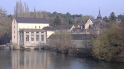 Port-du-Salut / Rei Momo