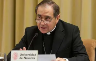 Bischof Juan Ignacio Arrieta  / ACI Prensa