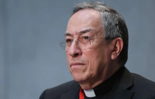 Kardinal Maradiaga / CNA / Daniel Ibanez