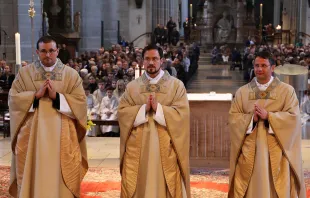 Thomas Attensberger, Kilian Schmidt und Robert Willmann (von links) wurden im Eichstätter Dom zu Priestern geweiht. / PDE/Norbert Staudt