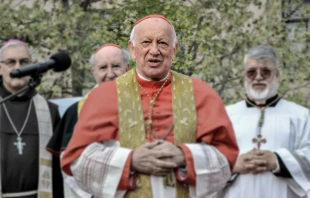 Kardinal Ezzati (Mitte) bei einer Prozession im Jahre 2017 / Wikimedia / Carlos Figueroa