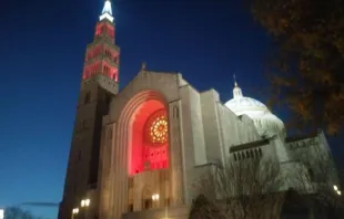 Die rot erleuchtete Basilika in Washington / Courtney Grogan / CNA Deutsch