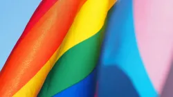 Regenbogen-Flagge der LGBT-Lobby / Cecilie Johnsen / Unsplash