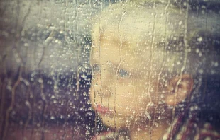 Referenzbild / Jaromir Chalabala/Shutterstock