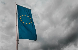 EU-Flagge / Sara Kurfeß / Unsplash (CC0) 