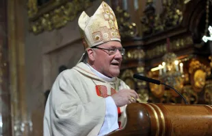 Bischof Schwarz bei seiner Predigt am 1. Juli 2018 / Bistum St. Pölten