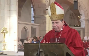 Kardinal Kurt Koch bei der Predigt zur Seligsprechung von Pater Henkes am 15. September im Limburger Georgsdom / EWTN.TV (Screenshot)