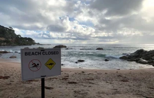 Bunker Bay in Westaustralien am 2. August 2020, wenige Tage nach einem Angriff eines Weißen Hais auf einen Surfer. / Evan Hallein/Shutterstock