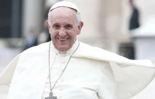 Papst Franziskus bei der Generalaudienz auf dem Petersplatz am 10. September 2014 / Giulio Napolitano / Shutterstock