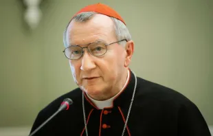 Kardinalstaatssekretär Pietro Parolin bei einem Treffen mit dem Präsidenten der Ukraine im Juni 2016 / Shutterstock