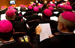 Amazonassynode / Daniel Ibáñez / CNA